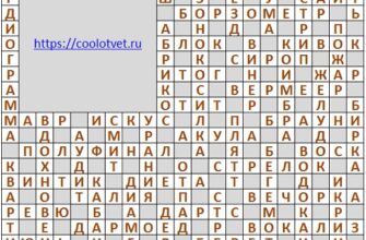 Ответы на кроссворд АиФ №3