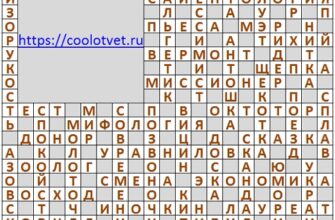 Ответы на кроссворд АиФ №6