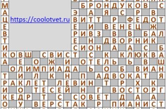 Ответы на кроссворд АиФ 33 (2126) 18 августа 2021