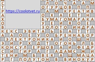 Ответы на кроссворд АиФ 34 (2127) 25 августа 2021