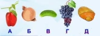 Игра-конкурс: Астра - природоведение для всех - ответы 28 ноября 2022 года