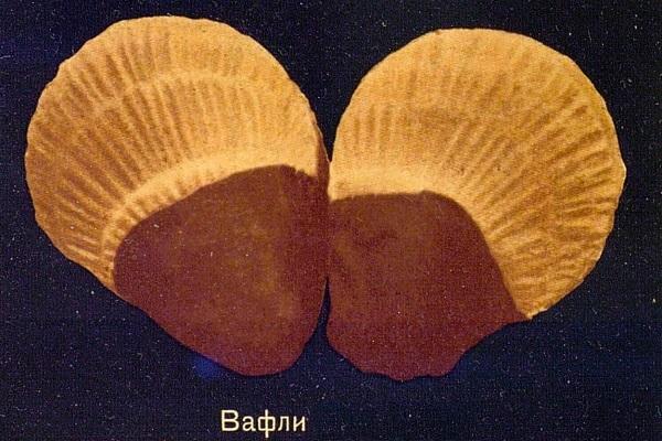 какое название было у этих вафель