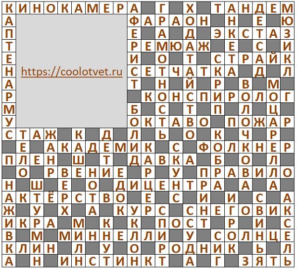2024 АиФ номер 18 Кроссворд ответы