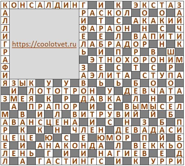 Ответы на Кроссворд АиФ №28 2024 год