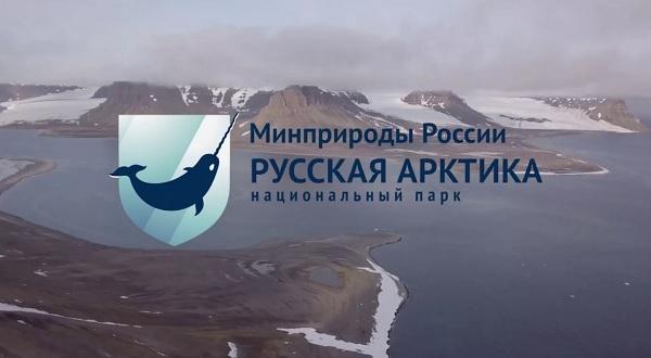 нарвал