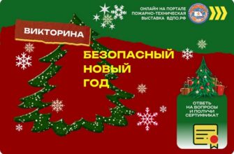 Безопасный новый год - викторина от ВДПО