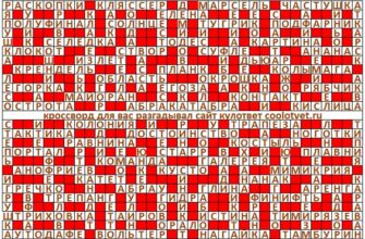 Ответы на кроссворд Моя Семья №49 (1248) декабрь 2024 год