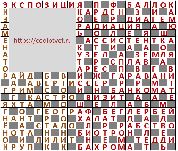 Ответы на дополнительный Кроссворд АиФ №6 2025 год